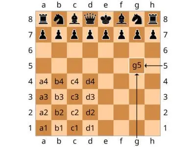 Chess opening game